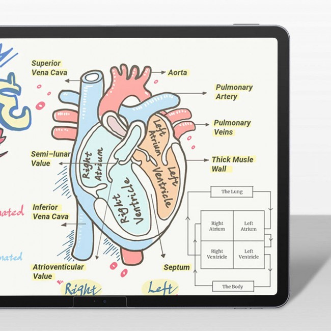 Apple iPad Pro 11 2024 Kağıt Hisli Benks Mat Paper-Like Ekran Koruyucu Apple iPad Pro 11 2024 Kağıt Hisli Benks Mat Paper-Like Ekran Koruyucu