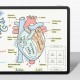 Apple iPad Pro 11 2024 Kağıt Hisli Benks Mat Paper-Like Ekran Koruyucu Apple iPad Pro 11 2024 Kağıt Hisli Benks Mat Paper-Like Ekran Koruyucu