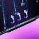 Apple iPhone 11 Wiwu iVista Screen Matte Ultra Güçlü Temperli Mat Ekran Koruyucu Apple iPhone 11 Wiwu iVista Screen Matte Ultra Güçlü Temperli Mat Ekran Koruyucu