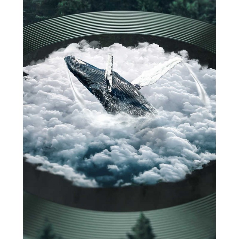 Bal-z Apple iPhone 12 Pro  CL-01 Kamera Lens Koruyucu