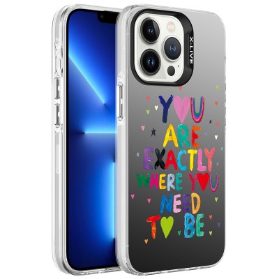 Bal-z Apple iPhone 13 Pro Kılıf Desenli  Silver Sert Kapak
