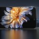 Apple iPhone 16 Plus Wiwu GT-015 Çok Katmanlı Temperli iPrivacy Cam Ekran Koruyucu 10'lu Paket Apple iPhone 16 Plus Wiwu GT-015 Çok Katmanlı Temperli iPrivacy Cam Ekran Koruyucu 10'lu Paket