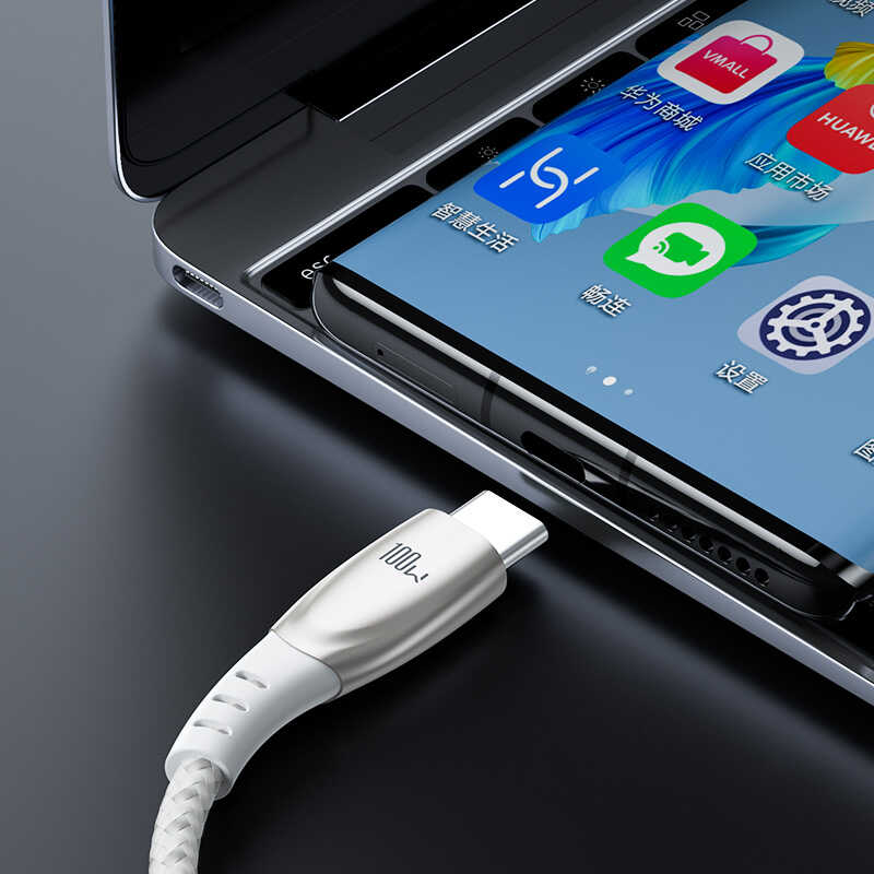 Bal-z Benks D41 100W Type-C To Type-C Kablo 1.2M