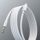 Lenyes AX102 Type-C to 3.5mm AUX Audio Kablo 1M Lenyes AX102 Type-C to 3.5mm AUX Audio Kablo 1M