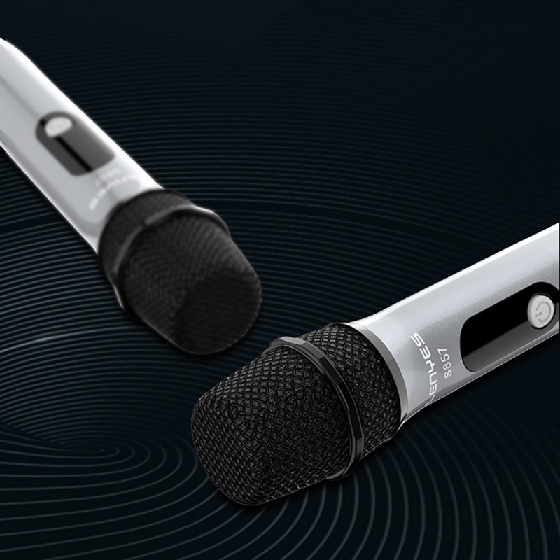 Bal-z Lenyes S857 RGB Işıklı Çift Mikrofonlu Taşınabilir TWS Bluetooth Speaker Hoparlör v5.3