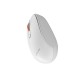 Lenyes WS101 Sessiz Buton Tasarımlı Ergonomik 2.4G Kablosuz Mouse 1600 DPI Lenyes WS101 Sessiz Buton Tasarımlı Ergonomik 2.4G Kablosuz Mouse 1600 DPI
