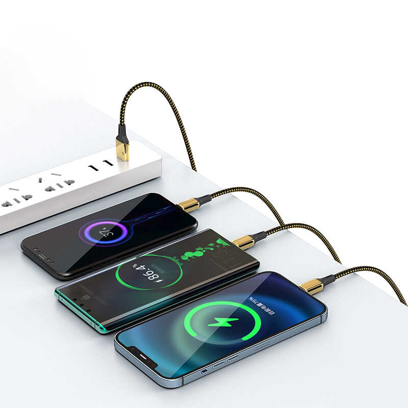 Bal-z Wiwu Golden Series GD-101 Type-C Data Kablo 2M