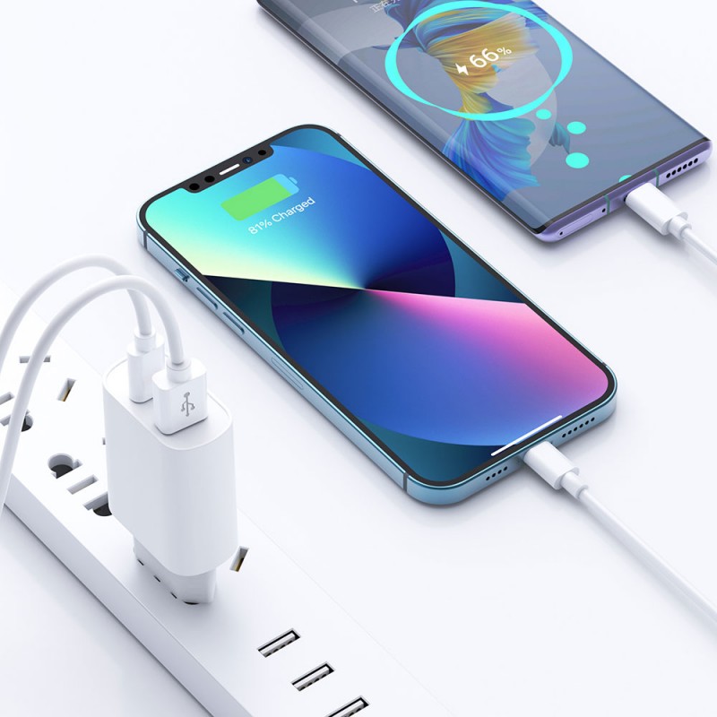 Bal-z Wiwu Wi-U002 Quick Type-C PD & USB-A QC Hızlı Şarj Başlığı 20W