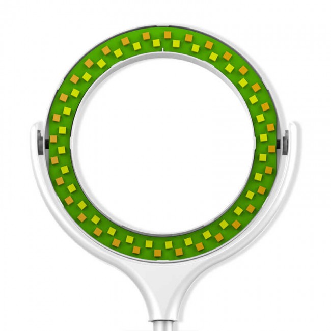 Zore F-537 30 Cm Işıklı Telefon Tutucu Ring Light Zore F-537 30 Cm Işıklı Telefon Tutucu Ring Light