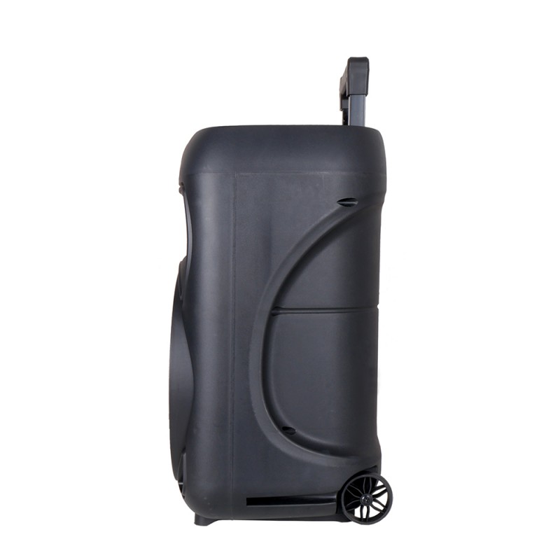 Bal-z  GD-1203 Dijital LED Göstergeli FM Radyolu Mikrofonlu RGB TWS 12 inç Stereo Bass Kablosuz Karaoke Hoparlör