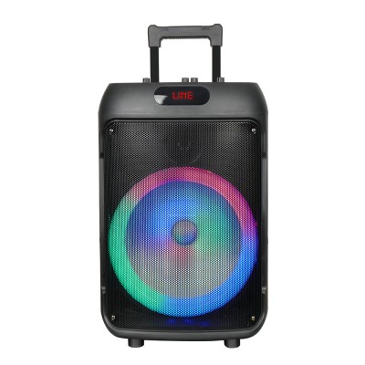 Bal-z  GD-1203 Dijital LED Göstergeli FM Radyolu Mikrofonlu RGB TWS 12 inç Stereo Bass Kablosuz Karaoke Hoparlör