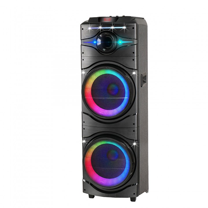 Zore GD-2016 Dijital LED Göstergeli FM Radyolu Mikrofonlu RGB TWS Çift 12 inç Stereo Bass Kablosuz Karaoke Hoparlör