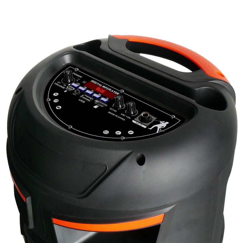 Bal-z Zore GD-2809 Dijital LED Göstergeli FM Radyolu Mikrofonlu RGB TWS Çift 8 inç Stereo Bass Kablosuz Karaoke Hoparlör