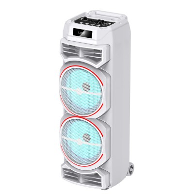 Bal-z  GD-2828 Dijital LED Göstergeli Mikrofonlu RGB TWS Çift 8 inç Stereo Bass Kablosuz Karaoke Hoparlör