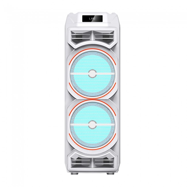 Zore GD-2828 Dijital LED Göstergeli Mikrofonlu RGB TWS Çift 8 inç Stereo Bass Kablosuz Karaoke Hoparlör