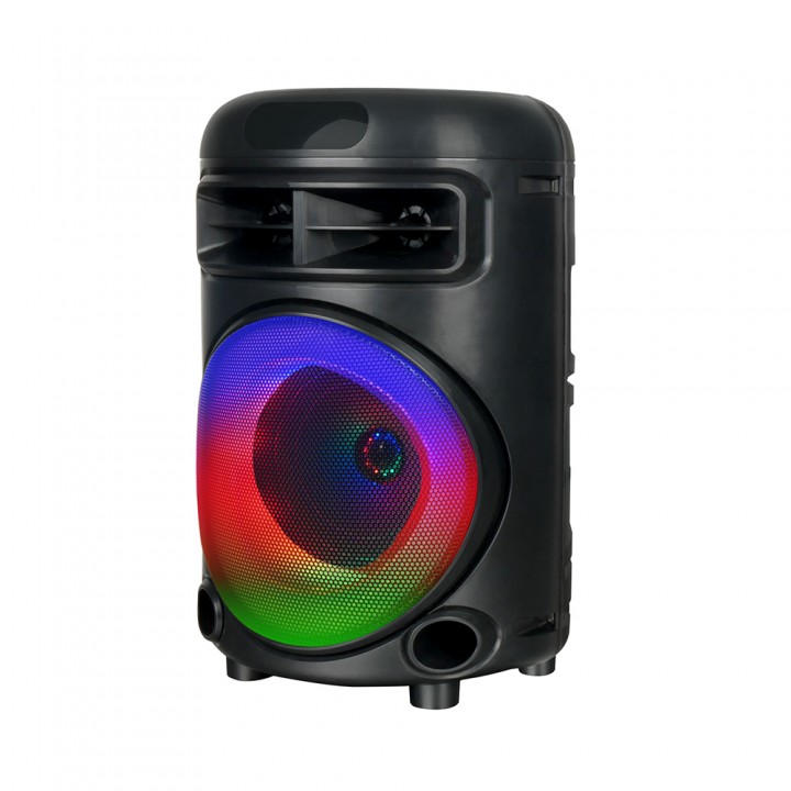 Zore GD-692 FM Radyolu Mikrofonlu RGB TWS 6.5 inç Stereo Bass Kablosuz Karaoke Hoparlör