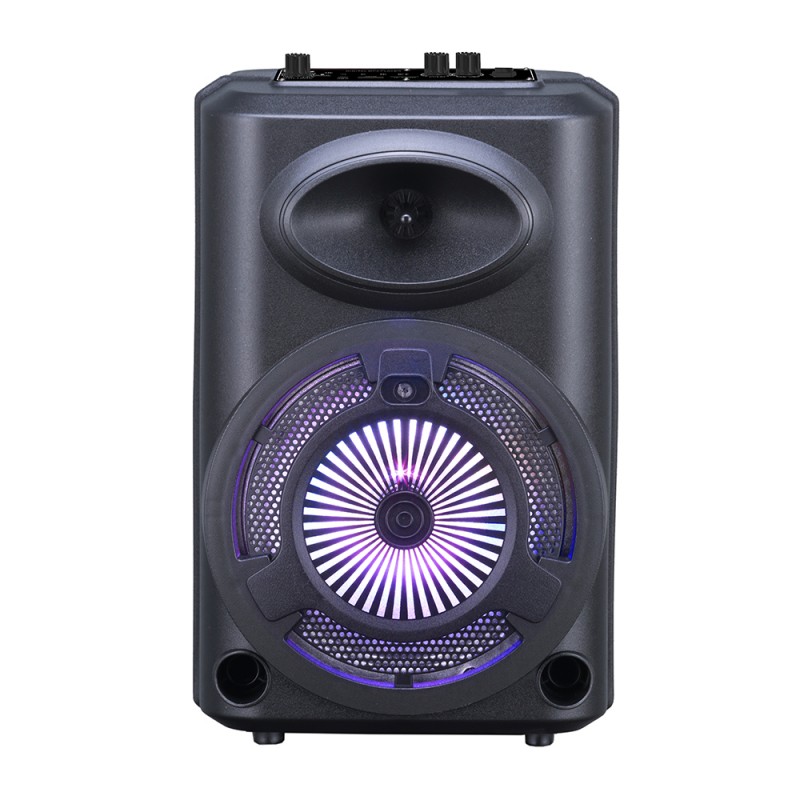 Bal-z Zore GD-903 Dijital LED Göstergeli FM Radyolu Mikrofonlu RGB TWS 8 inç Stereo Bass Kablosuz Karaoke Hoparlör