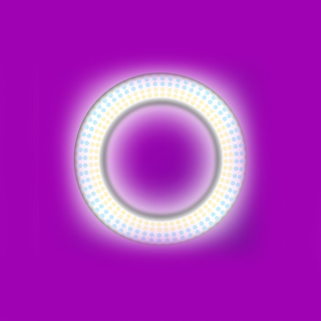 Zore LJJ18 RGB Light 45cm Işıklı Telefon Tutucu Ring Light Zore LJJ18 RGB Light 45cm Işıklı Telefon Tutucu Ring Light