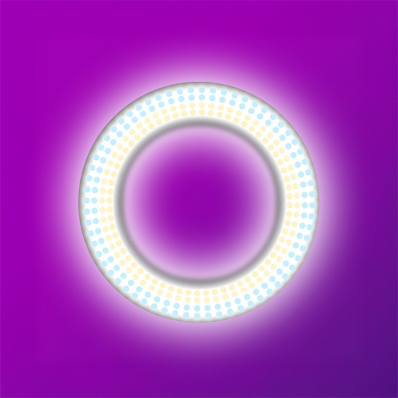 Bal-z  LJJ22 RGB Light 56cm Işıklı Telefon Tutucu Ring Light