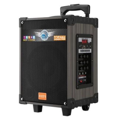 Bal-z Zore LT-908 Dijital LED Göstergeli FM Radyolu Mikrofonlu TWS 8 inç Stereo Bass Kablosuz Karaoke Hoparlör