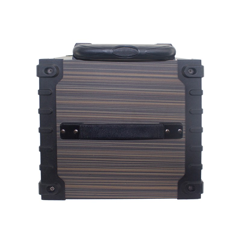 Bal-z Zore LT-908 Dijital LED Göstergeli FM Radyolu Mikrofonlu TWS 8 inç Stereo Bass Kablosuz Karaoke Hoparlör