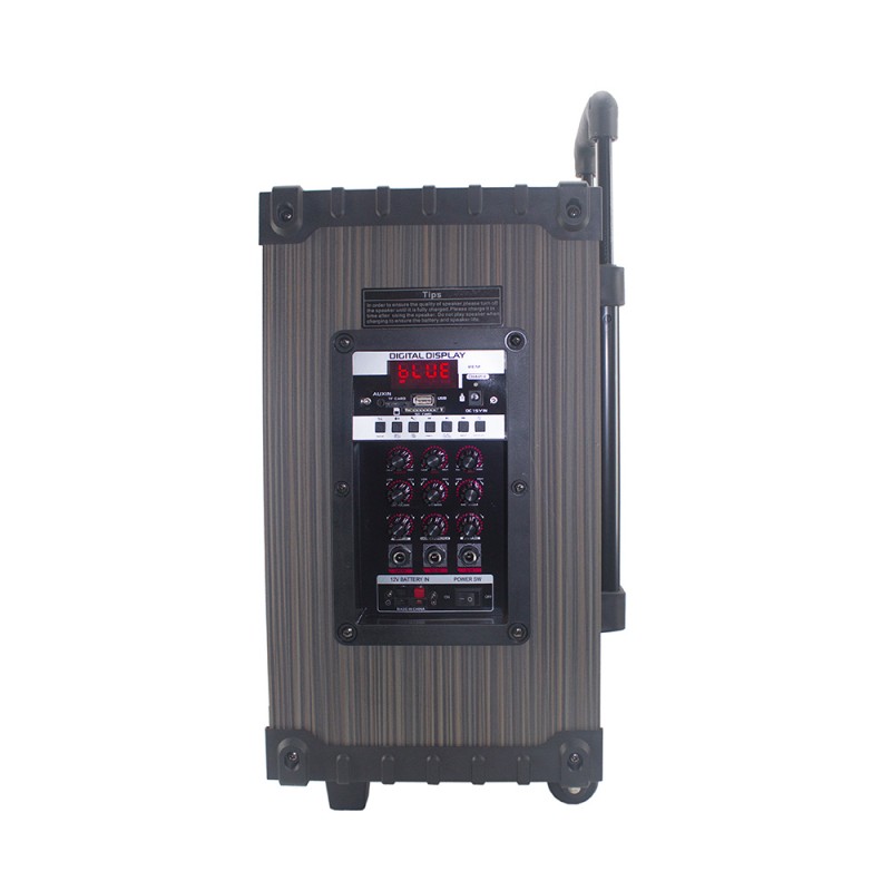 Bal-z Zore LT-908 Dijital LED Göstergeli FM Radyolu Mikrofonlu TWS 8 inç Stereo Bass Kablosuz Karaoke Hoparlör