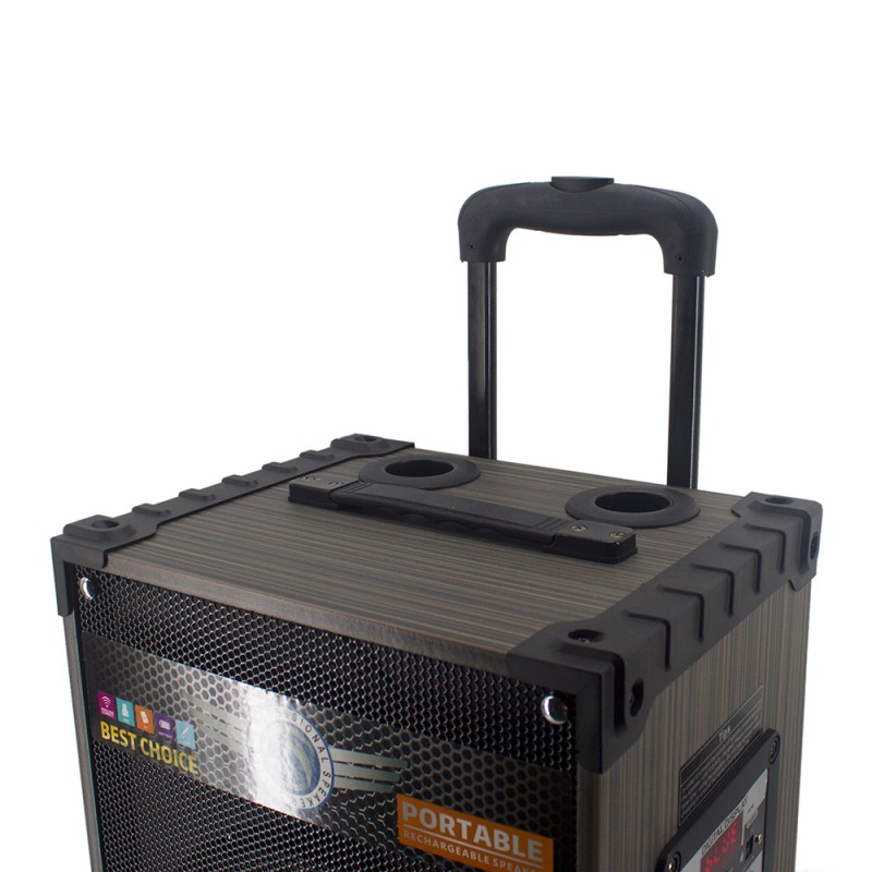 Bal-z Zore LT-910 Dijital LED Göstergeli FM Radyolu Mikrofonlu Gitar Girişli TWS 10 inç Stereo Bass Kablosuz Karaoke Hoparlör