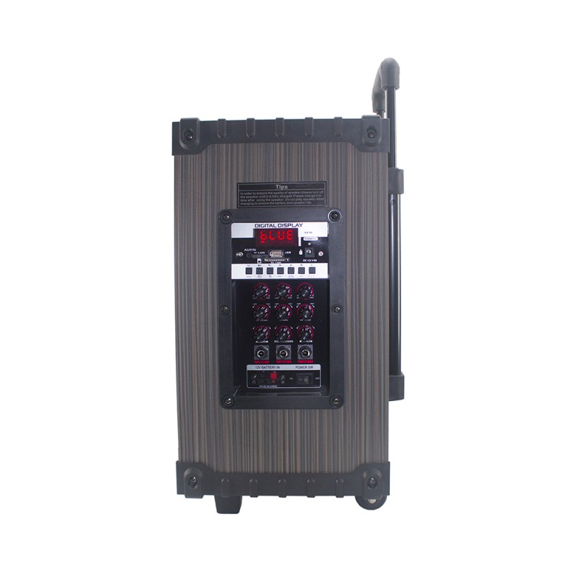 Bal-z Zore LT-910 Dijital LED Göstergeli FM Radyolu Mikrofonlu Gitar Girişli TWS 10 inç Stereo Bass Kablosuz Karaoke Hoparlör