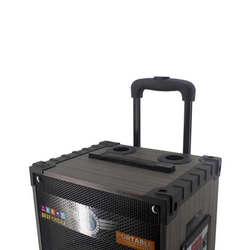 Bal-z  LT-912 Dijital LED Göstergeli FM Radyolu Mikrofonlu Gitar Girişli TWS 12 inç Stereo Bass Kablosuz Karaoke Hoparlör