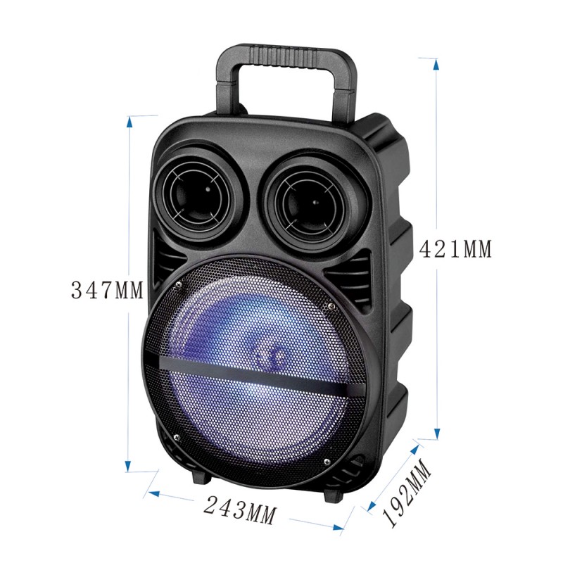 Bal-z Zore PK-15 FM Radyolu Mikrofonlu RGB TWS 8 inç Stereo Bass Kablosuz Karaoke Hoparlör