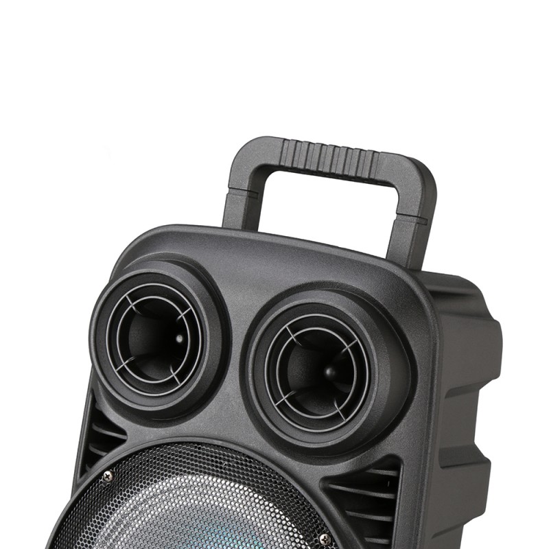 Bal-z Zore PK-15 FM Radyolu Mikrofonlu RGB TWS 8 inç Stereo Bass Kablosuz Karaoke Hoparlör
