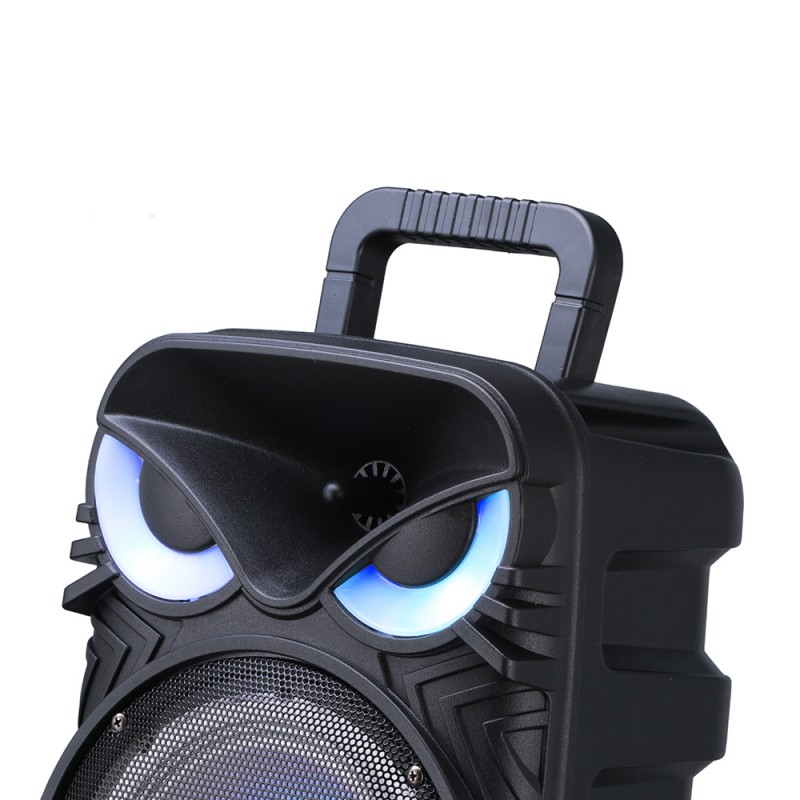 Bal-z Zore PK-17 FM Radyolu Mikrofonlu RGB TWS 8 inç Stereo Bass Kablosuz Karaoke Hoparlör