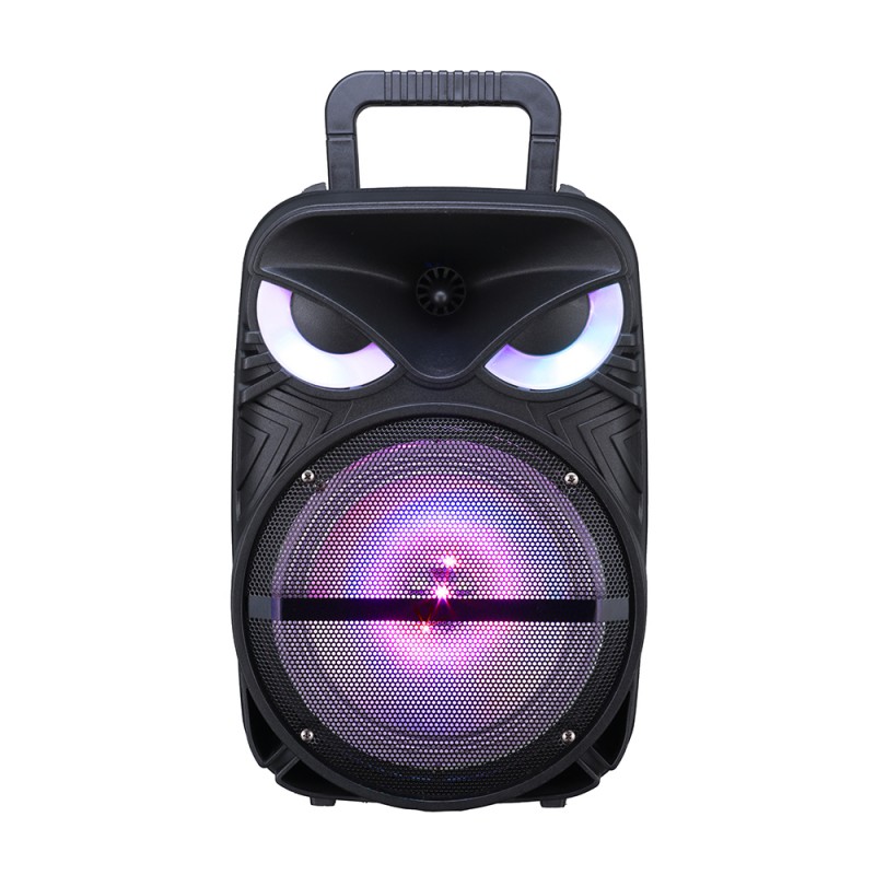 Bal-z Zore PK-17 FM Radyolu Mikrofonlu RGB TWS 8 inç Stereo Bass Kablosuz Karaoke Hoparlör